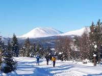 Bild zur Tour Bild zur Tour