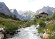 Bild vergrern