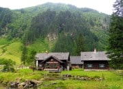 Bild vergrern
