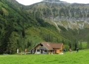 Bild vergrern
