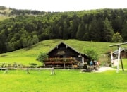 Bild vergrern