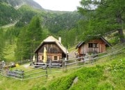Bild vergrern