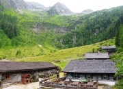 Bild vergrern