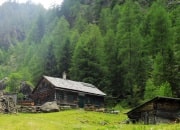 Bild vergrern