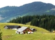 Bild vergrern