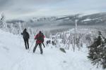 Abstieg zum Spindlerpass
