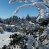 Winterlandschaft auf dem Kammweg
