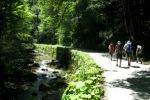 Fuweg im  Sllbachtal
