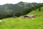 An der Rainer-Alm
