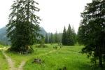 Auf der Sindelsdorfer Alm
