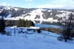 Blick zum Alpsee
