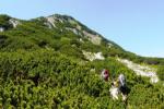 Aufstieg zum Berchtesgadener Hochtrohn
