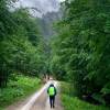 Weg auf der Eibelsfleckalm
Weg auf der Eibelsfleckalm