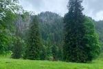 Blick zur Benediktenwand
Blick zur Benediktenwand