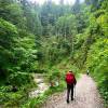 Auf dem Wildbachlehrpfad
Auf dem Wildbachlehrpfad