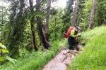 Auf dem Grasleitensteig
Auf dem Grasleitensteig
