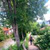 Am Söllbach in Abwinkel
Am Söllbach in Abwinkel