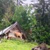 Ziegen an der Hütte
Ziegen an der Hütte