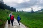Weg zur Seekaralm
Weg zur Seekaralm