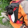Hund im Rucksack
Hund im Rucksack