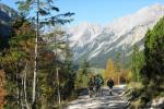 Auf dem Fahrweg nach Scharnitz
