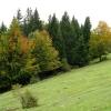 Herbstimpressionen
