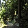 Weg zur Skogadalsbøen Turisthytte
Weg zur Skogadalsbøen Turisthytte