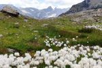 An der Skogadalsbøen Turisthytte
An der Skogadalsbøen Turisthytte