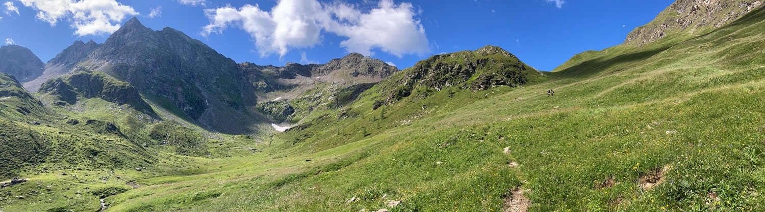 Panoramabild vergr��ern