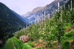 Blick ins Spronsertal
