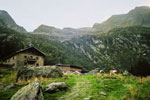 Bockerhütte
Bockerhütte