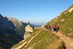 Blick zum Bronzeadler
