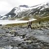 Flussberquerung am Langvatnet
