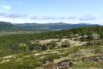 Blick ber den Dovre Nationalpark
