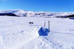 Boot am Ufer des vre Sjodalsvatnet
