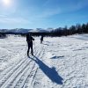 Weg auf dem Nedre  Sjodalsvatnet
