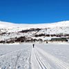 Loipe an der Bessheim Fjellstue
