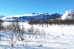 Loipe am Besseggen Fjellpark
