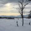 Winterliche Landschaft
