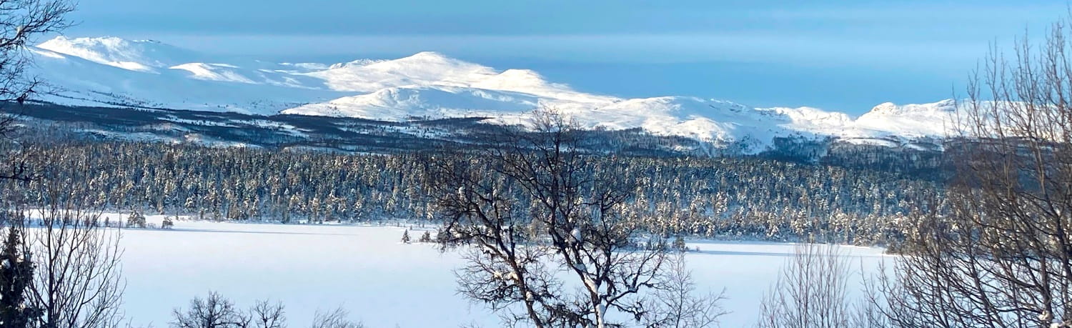 Panoramabild vergr��ern