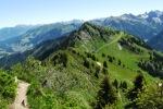 Blick zum Walmerdinger Horn
