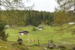 Blick auf die obere Hemmersuppenalm
