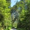 Auf dem Weg zur Alpe Schner Mann
