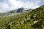 Blick zum Ankogel
