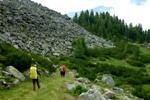 Weg vor der oberen Maralm 
