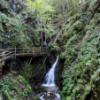 In der Dr.Vogelsang-Klamm
