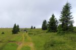 Weg zum Pfannegger Kreuz
