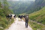 Aufstieg zur Putzentalalm
