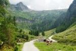 Blick zur Putzentalalm

