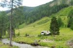 Alm am Preberbach
